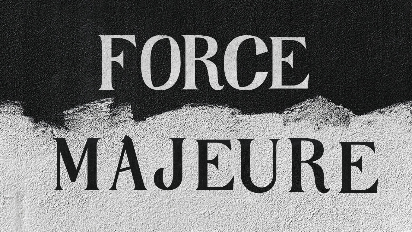 The Impact of Force Majeure Events and Shipping Delays on Global Logistics: Risks and Solutions.